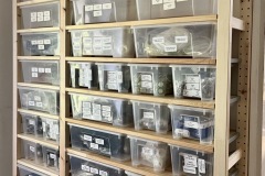 c94a726c-536c-46f5-ac9d-bd65589c2777